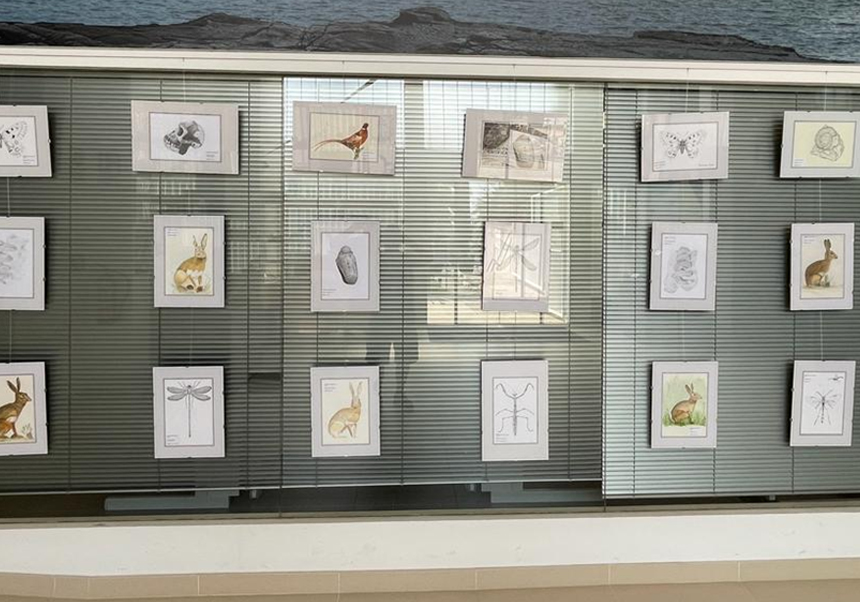 Exposició Il·lustració Científica